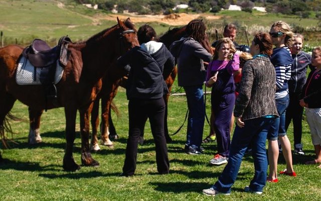 Gansbaai Funky Fynbos 26